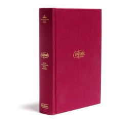 Biblia Centrada en Cristo TD