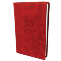 Biblia NTV 06 Agape - tienda online