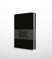 Biblia NRV 2000 Actualizada LG simil piel en internet