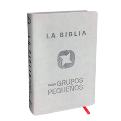 Biblia para grupos pequeños simil piel