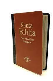 Biblia RVR 04 (mediana) Fuente de bendición simil cuero