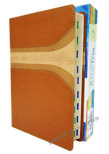 Biblia de estudio Arco Iris
