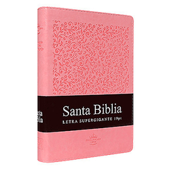 Biblia RVR 08 duo tono simil piel LSGI c/cierre en internet