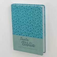 Biblia NRV 2000 actualizada Letra Gigante simil piel - comprar online