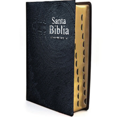 Biblia RVR 08 negra vinilo brillo LSGI PJR índice - comprar online