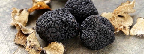 Banner da categoria TRUFADOS 