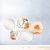 Kit Com 5 Placas Boho Minimalista 19,5 x 19,5cm / 24,5 x 24,5cm / 29 x 29cm
