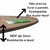 Imagem do Placa Decorativa Em Mdf - Plante O Bem - 19,5 X 19,5 Cm