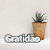 Palavra Decorativa - Gratidão - 24,6 x 6 Cm