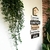 Placa Decorativa Em Mdf - Seja Bem-vindo - 22 X 60 Cm - loja online
