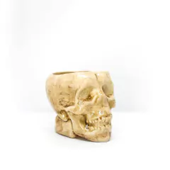 SKULL MUG en internet