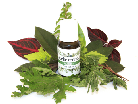 Aceite Esencial Equilibrio 15 Ml. - Sinergia Romero