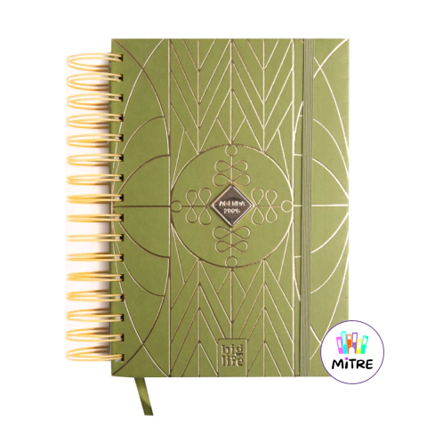 AGENDA 15X21 BIG LIFE INDIE 2 DIARIA 2026 - comprar online