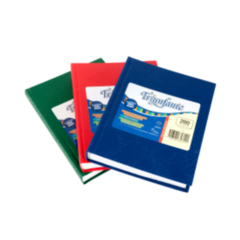 CUADERNO E1 TRIUNFANTE 100H RAY.