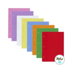 CARPETA FORRADA 2 TAPAS N°3
