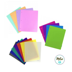 CARPETA PLÁSTICA 2 TAPAS N°3