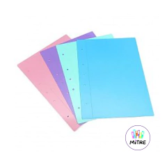 CARPETA PLASTICA 2 TAPAS A4 - comprar online