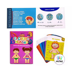 CARTAS EDUCATIVAS EL CUERPO HUMANO BP