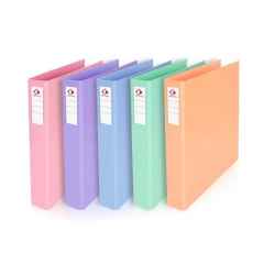 CARPETA A4 2 ANILLOS FORRADA en internet