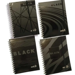 CUADERNO a4 NIVEL 10 RAY.