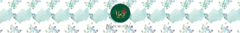 Banner da categoria CONFÊRENCIA "VOE"