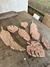 Kit de Folhas  - comprar online
