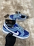 Imagem do Dunk Low SB Azul/Branco