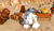 LEGO STAR WARS LA SAGA SKYWALKER | PS4 - GAMING FEVER