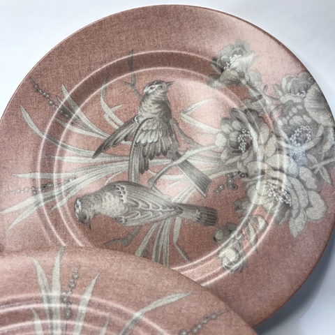 Conjunto 6 Prato raso Zenith Alleanza