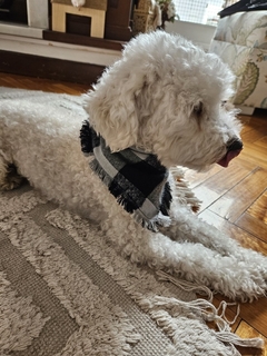 Bandana regulable blanco y negro - comprar online