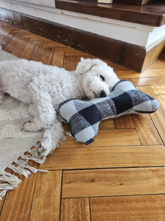 Almohadita blanco y negro - comprar online