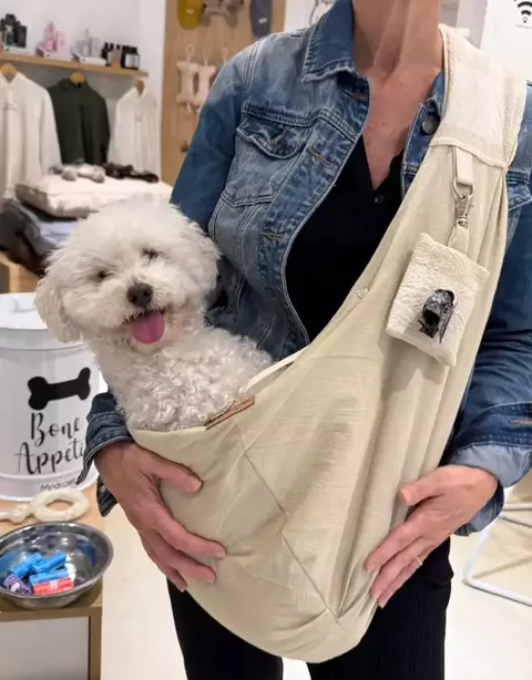 Bandolera Beige - comprar online