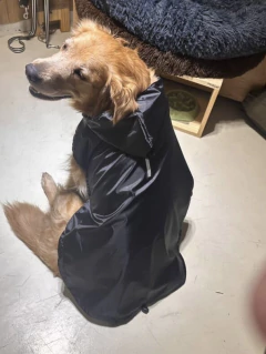 Piloto - tienda online