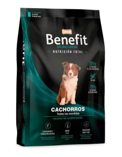 Cachorros 3 KG