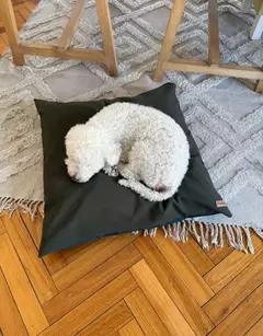 Camita Petite