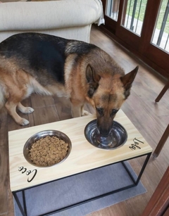 Comedero doble L - modopet