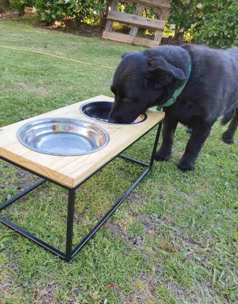 Comedero doble M para mascotas - ModoPet - foto 4