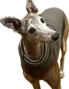 Buzo Reversible Galgo - comprar online