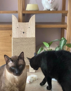 RASCADOR GATOS - modopet