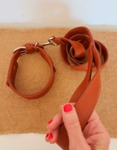 Combo correa + collar - comprar online