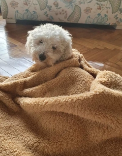 MANTA SOFT CARAMELO - modopet
