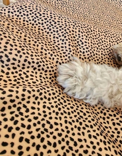 Mat Impermeable - modopet