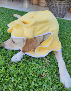 Imagen de Toallas Orejitas