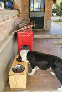 Comedero Box L - modopet