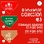 Bandanas Colección #3 DICIEMBRE | Mayoreo | icniuh
