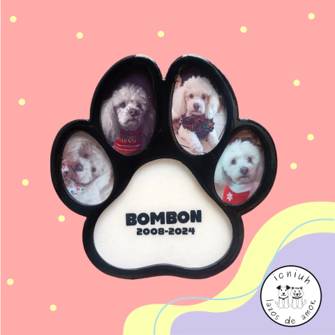 Urna para cenizas de mascota | icniuh - comprar en línea