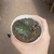 Echeveria Parvati