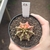 Gymnocalycium Variegata 13