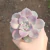 Graptoveria Snow White