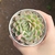 Echeveria H. Mistery